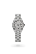 Lady-Datejust